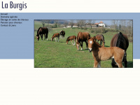 laburgis.ch Webseite Vorschau