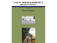Lakeland-terrier-lady-windermere.at