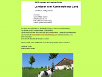 landseer-vom-kammersteiner-land.de Thumbnail