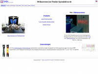 laserextensometer.de Webseite Vorschau