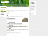 lavasteine.de Webseite Vorschau