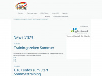 lcd.ch Webseite Vorschau