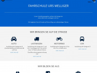 learntodrive.ch Webseite Vorschau
