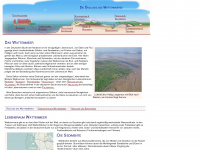lebensraum-wattenmeer.de Webseite Vorschau