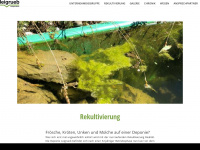 leigrueb.ch Webseite Vorschau