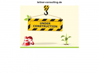 Leitner-consulting.de