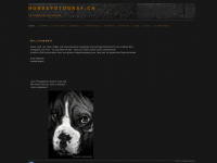 hundefotograf.ch Webseite Vorschau