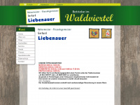 liebenauer.at Webseite Vorschau