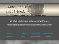 lindemann-labrador.de Webseite Vorschau