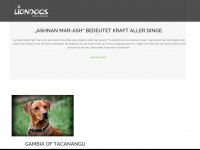 liondogs.de Webseite Vorschau