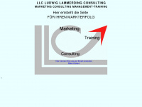 llc-consulting.de Webseite Vorschau