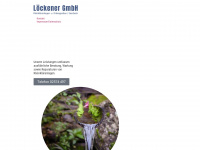 loeckener-saerbeck.de Webseite Vorschau