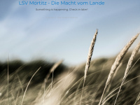 lsv-moertitz.de Thumbnail