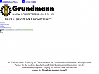 lu-grundmann.de Webseite Vorschau