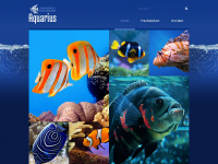aquarium-ob.de Webseite Vorschau