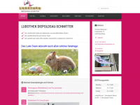 ludothek-diepoldsau.ch Webseite Vorschau