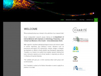 charite-inflab.de Webseite Vorschau