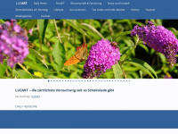 luzart.ch Webseite Vorschau