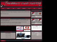 mad-hawks-passau.de Webseite Vorschau