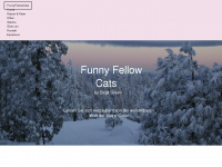 mainecoon-funnyfellowcats.de Webseite Vorschau