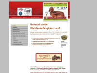 maiwalds-zwerglanghaarteckel.de Webseite Vorschau