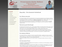 maldanerpraxis.de Webseite Vorschau