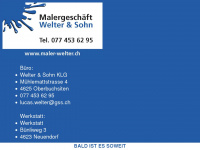 maler-welter.ch Webseite Vorschau
