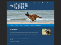Malinois-mistral.ch
