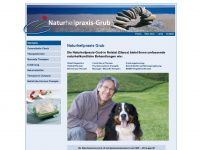 manuelle-therapien.ch Webseite Vorschau