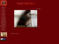 Maple-leaf-cats.de