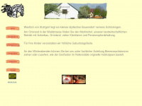 martinshofonline.de Webseite Vorschau