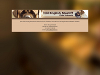 mastiff.ch Webseite Vorschau