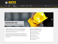 mayer-co.at Webseite Vorschau
