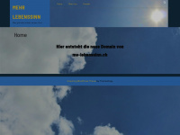 me-lebenssinn.ch Webseite Vorschau