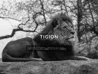 tigion.de Webseite Vorschau