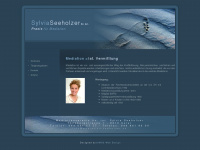 mediation-seeholzer.ch Webseite Vorschau