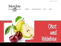 meichle-hagnau.de Webseite Vorschau