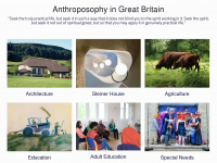 anthroposophy.org.uk Webseite Vorschau