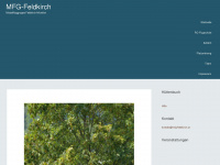 mfg-feldkirch.at Webseite Vorschau