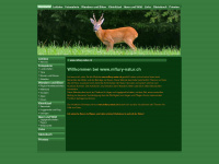 Mflury-natur.ch