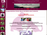 michel-doggish.ch Webseite Vorschau