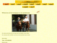 mm-quarterhorses.de Webseite Vorschau
