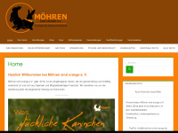 moehren-sind-orange.de Webseite Vorschau