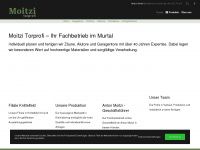 moitzi-torprofi.at Webseite Vorschau