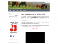 montastica.ch Webseite Vorschau