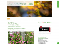 moor-nebel.ch Webseite Vorschau