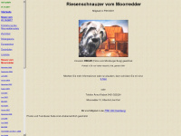 moorredder-riesenschnauzer.de Webseite Vorschau