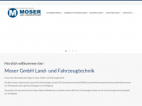 moser-hohenfels.de Webseite Vorschau