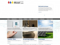 moser-eu.at Webseite Vorschau
