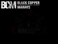blackcoppermarans.at Thumbnail